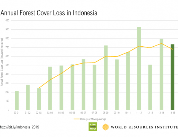 Haruskah Menunggu Hutan Menjadi Legenda Astacala