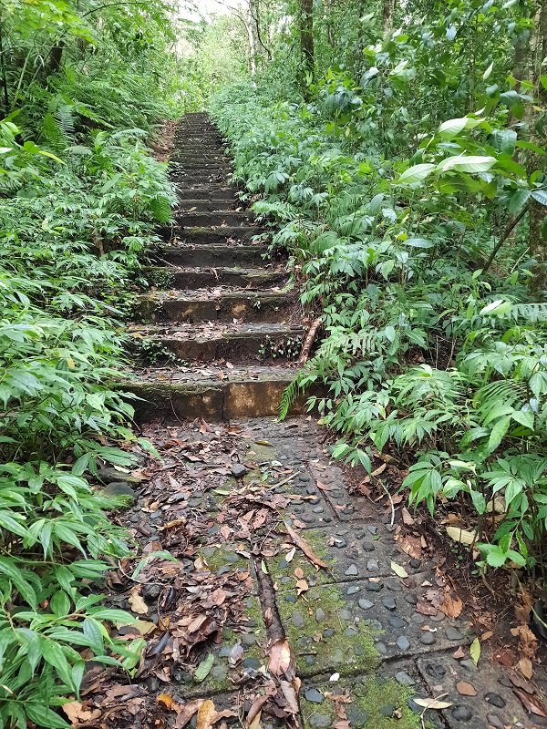 Jalur pendakian ke Puncak Mangu dari Pelaga.
