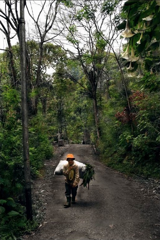 Seorang pencari rumput yang ditemui di setapak Dago Pakar - Maribaya