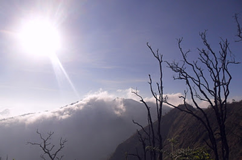 Suasana di Sepanjang Jalur Perjalanan Gunung Puntang