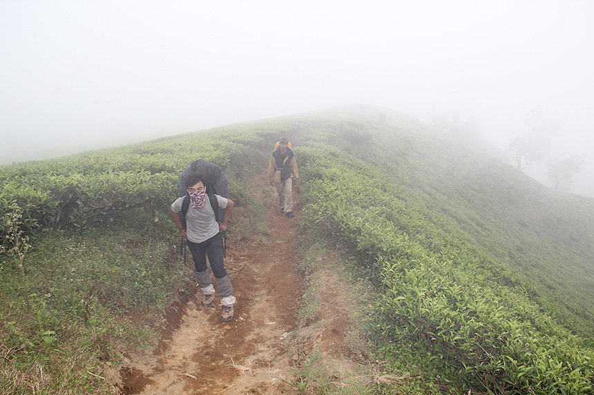 Menyusuri Kabut Cikuray