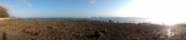 Pesisir Pantai Sancang yang Berbatu