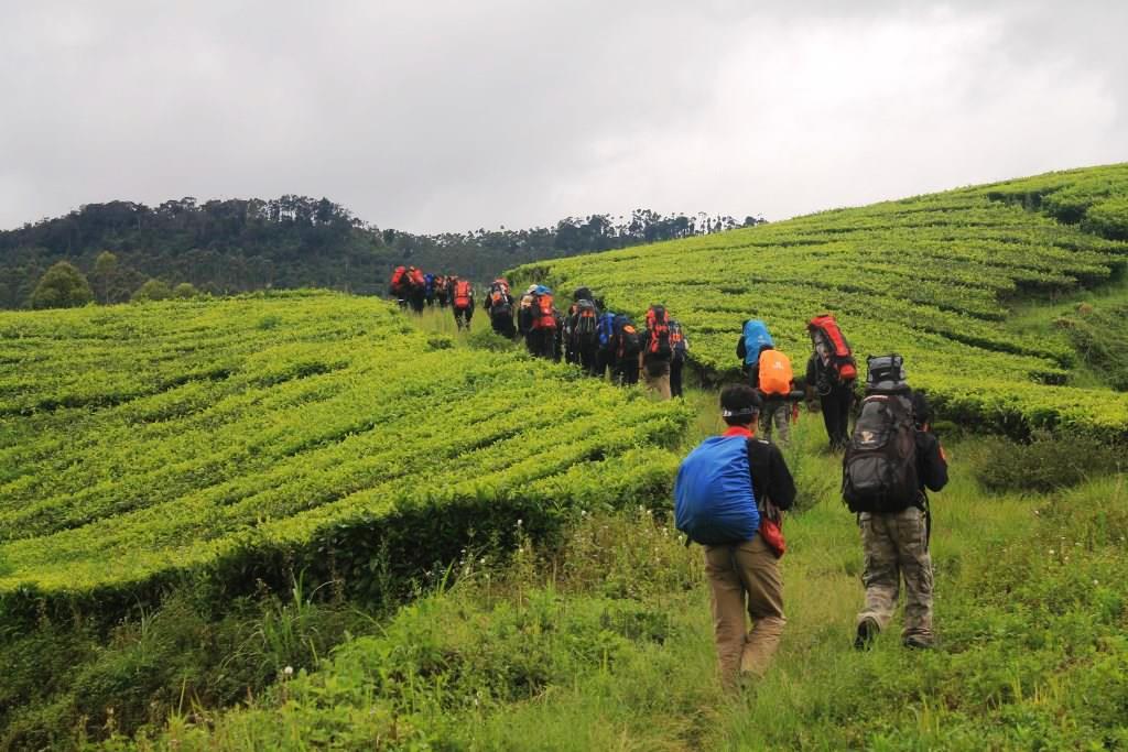 Long March