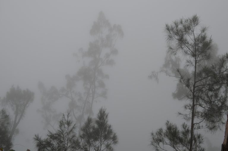 Kabut yang datang dan pergi menemani perjalanan kami selama menuju Sendang.