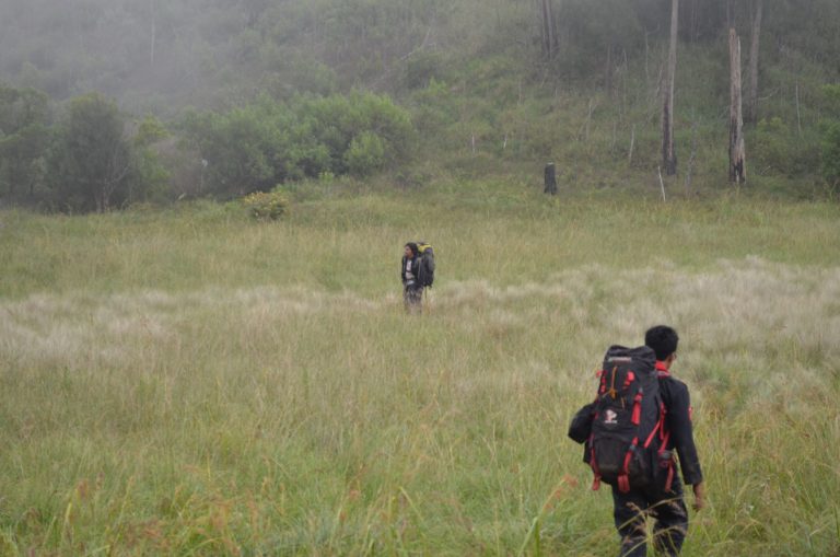 Savana Gunung Pitrang. Konon belum lama berselang, pernah ditemukan mayat seorang wanita yang meninggal secara misterius di savana ini.