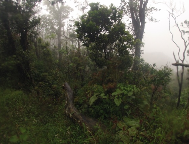 Puncak gunung Guha