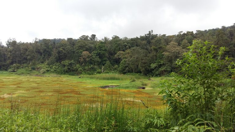 Sabana Situ Cirompang