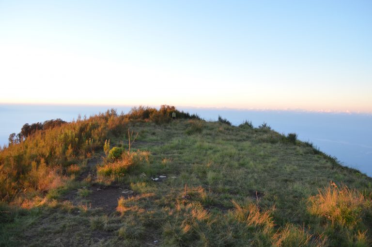 TIba di puncak