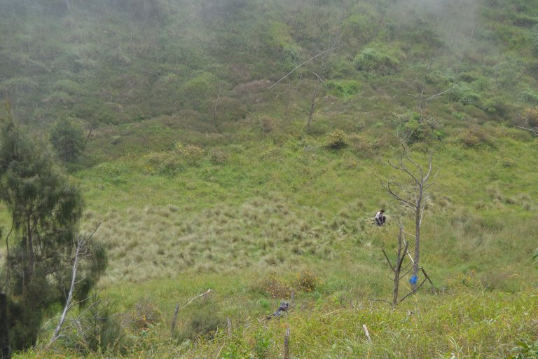 Sabana 1
