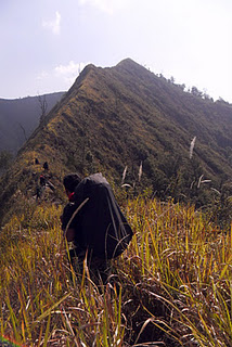 puntang006