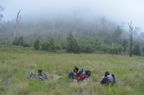 Istirahat sejenak di sabana