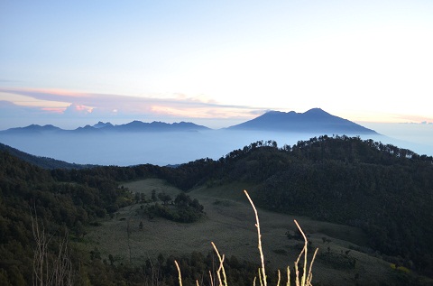 Sabana dari puncak