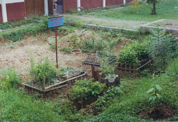 Kebun
