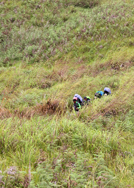 Leuser: Pendakian Hari Pertama