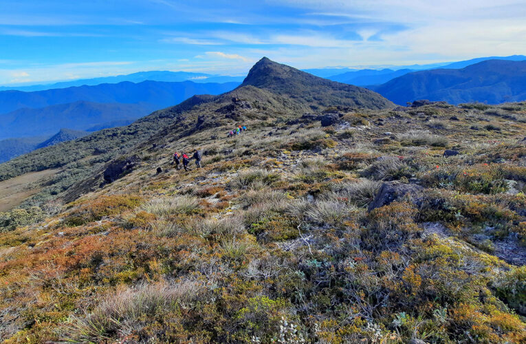Leuser (Bagian 01: Panggilan dari Leuser)