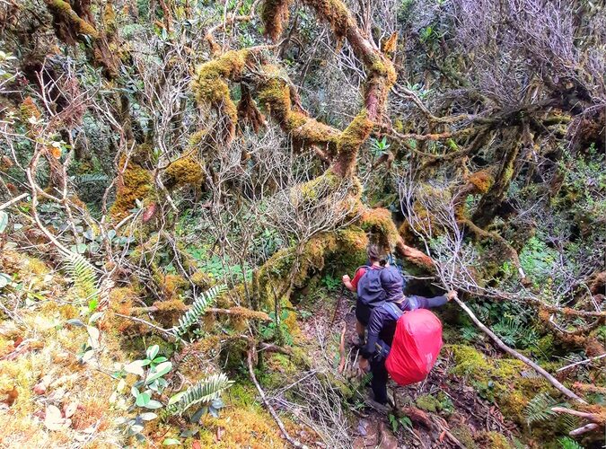 Leuser (Bagian 09: Bergerak ke Tronton)