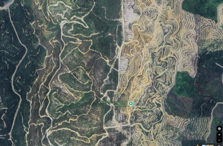 Hutan Hilang, Bencana Datang