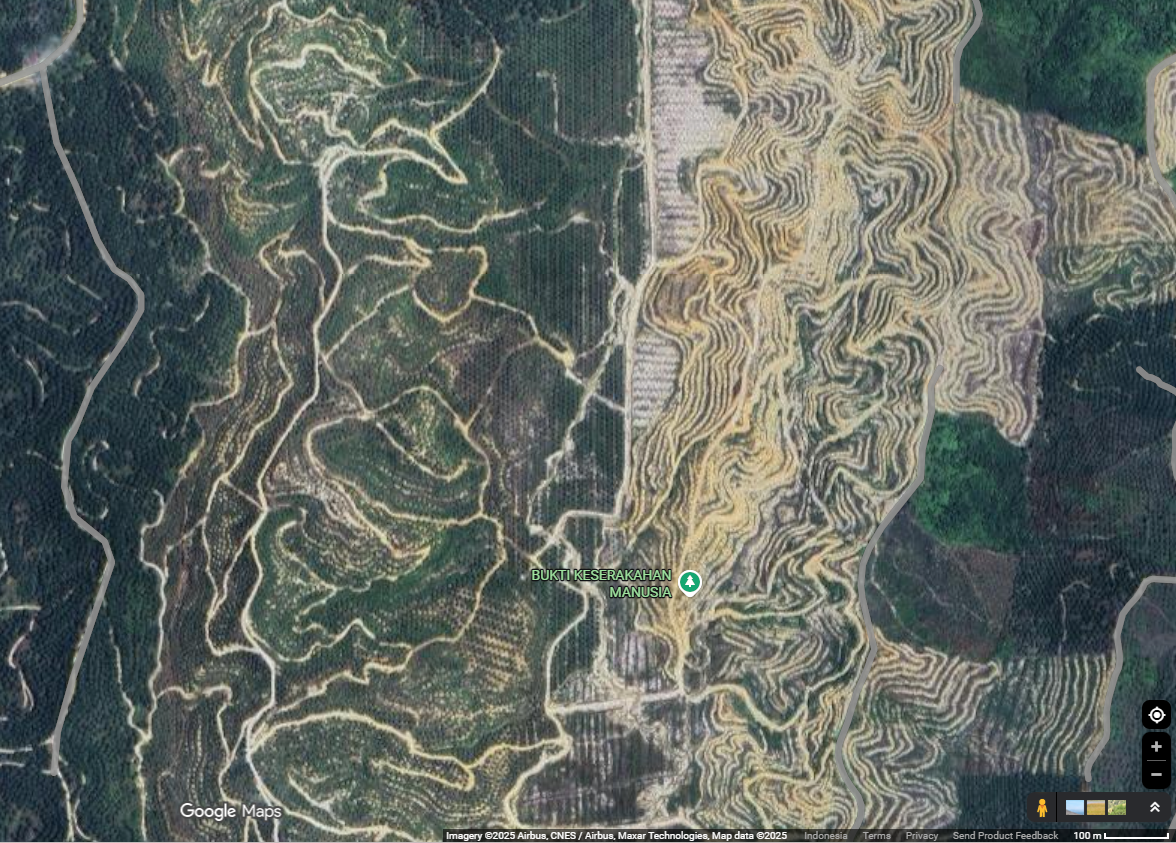 Hutan Hilang, Bencana Datang -- Gambar diambil dari tangkapan layar Google Maps