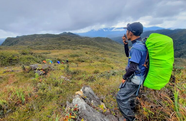 Leuser (Bagian 10: Hutan dan Sabana)
