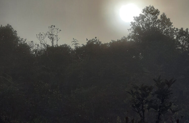 Leuser (Bagian 06: Puncak Angkasan)