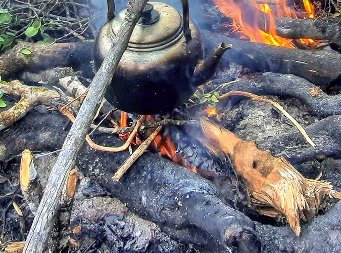 Leuser (Bagian 08: Renungan Api Unggun)
