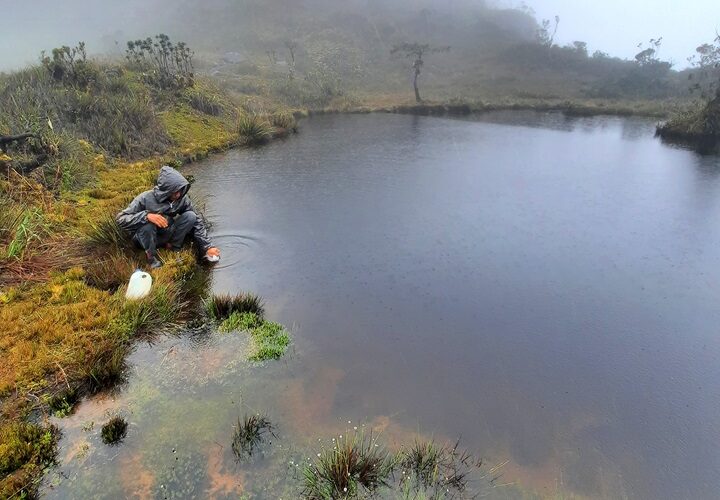 Leuser (Bagian 13: Loser dan Leuser)
